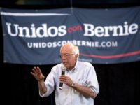 Unidos con Bernie Sanders (David McNew / Getty)