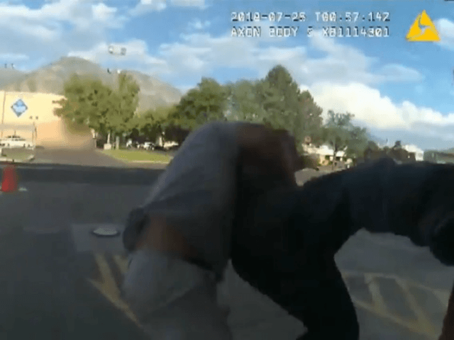 A Provo police officer got an assist from some good Samaritans after a suspect punched him