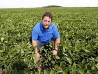 In this July 18, 2018 photo, soybean farmer Michael Petefish poses in his soybean field at his farm near Claremont in southern Minnesota. American farmers have put the brakes on unnecessary spending as the U.S.-China trade war escalates, hoping the two countries work out their differences before the full impact …