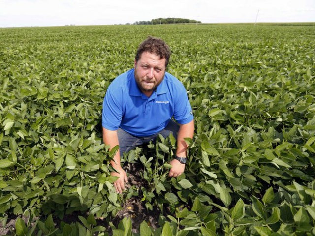 In this July 18, 2018 photo, soybean farmer Michael Petefish poses in his soybean field at his farm near Claremont in southern Minnesota. American farmers have put the brakes on unnecessary spending as the U.S.-China trade war escalates, hoping the two countries work out their differences before the full impact …