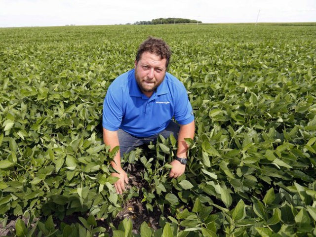 In this July 18, 2018 photo, soybean farmer Michael Petefish poses in his soybean field at