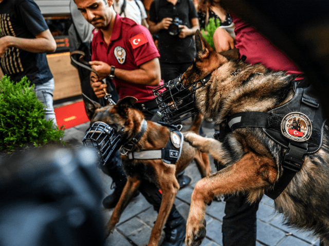 Police officers with dogs walk in the streets of Istanbul on July 1, 2018, after Turkish authorities banned the annual Gay Pride Parade for a fourth year in a row. - Around 1,000 people gathered on a street near Istiklal Avenue and Taksim Square where organisers wanted to originally hold …