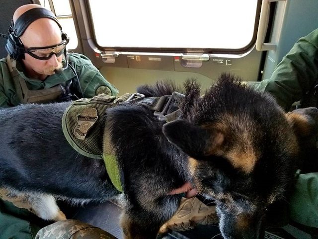 A National Guard aircrew rescues a Border Patrol K-9 suffering from heat exhaustion in the
