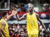 thon maker thon maker