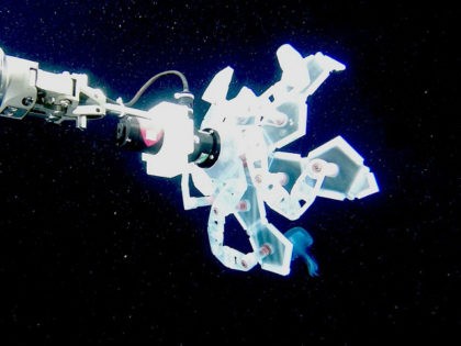 Origami-Style Trap Technology Helps Scientists Capture Delicate Sea Life