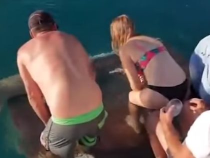 A shark dragged an Australian woman into the water by her finger while she was hand-feeding it fish from a yacht sailing on the country's northwestern coast.