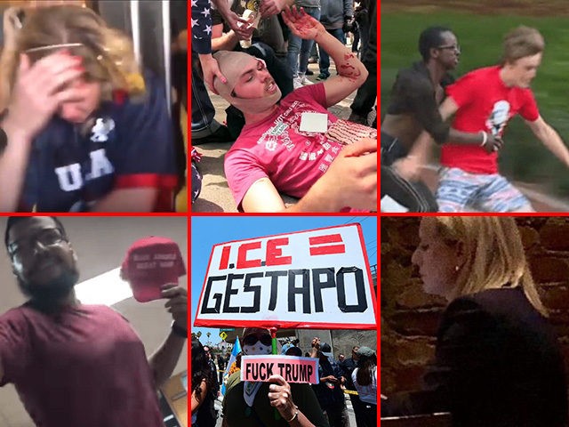 Collage of Trump supporters being attacked or harassed in public.