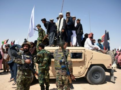 US says Taliban inertia on peace talks 'unacceptable'