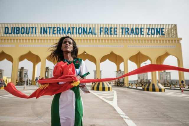 Djibouti launches 'Africa's biggest free trade zone'