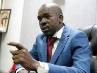 Betting on youth: Nelson Chamisa, president of the Movement for Democratic Change (MDC) Betting on youth: Nelson Chamisa, president of the Movement for Democratic Change (MDC)