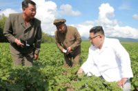 North Korea's state media implied Kim Jong Un may have been too busy visiting a potato farm to meet the US Secretary of State Mike Pompeo