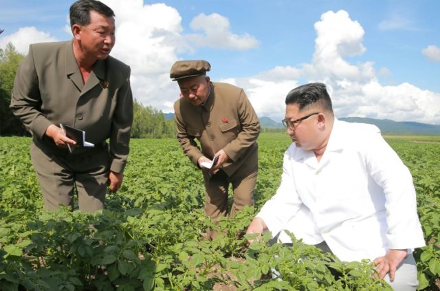 Did N. Korea's Kim put potatoes over Pompeo?