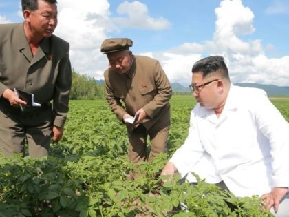 Did N. Korea's Kim put potatoes over Pompeo?