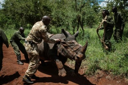 Over 100 wildlife rangers died on duty in past year: WWF