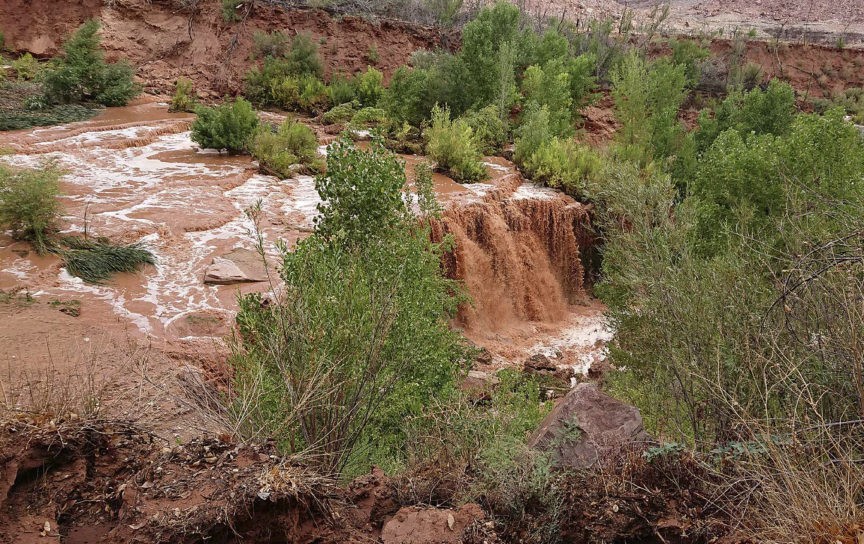 Flash flood sends tourists to high ground near Grand Canyon Breitbart