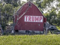 Trump Trade Farmers A field of corn is seen in front of a barn carrying a large Trump sign in rural Ashland, Neb., Tuesday, July 24, 2018. The Trump administration announced Tuesday it will provide $12 billion in emergency relief to ease the pain of American farmers slammed by President Donald Trump's escalating trade disputes with China and other countries. (AP Photo/Nati Harnik) Farmers prefer Trump do trade deals than hand them cash