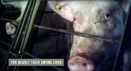 The Associated Press