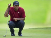 AP David Dermer Tiger Woods