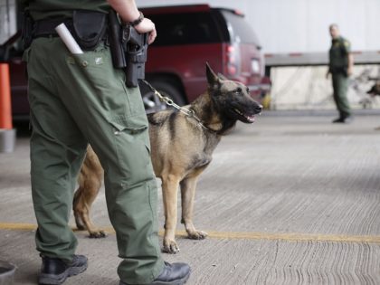 U.S. Customs and Border Patrol agents and K-9 security dogs keep watch at a checkpoint station, Friday, Feb. 22, 2013, in Falfurrias, Texas. Government agencies vary widely in how they are dealing with $85 billion in across-the-board budget cuts that went into effect last week. Federal workers could face seven …