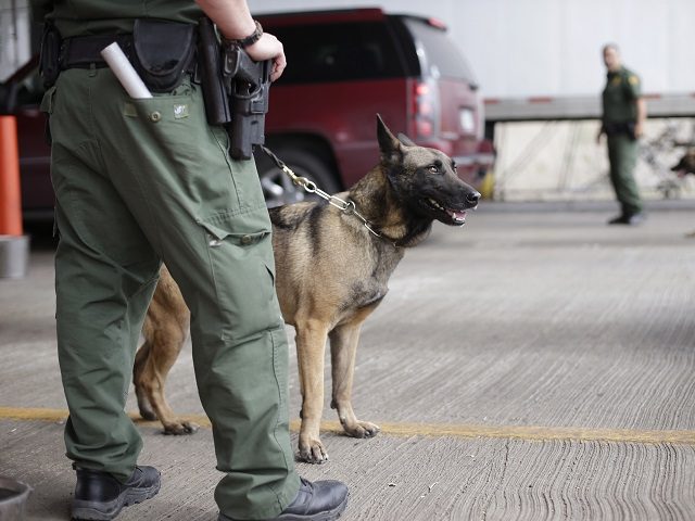 U.S. Customs and Border Patrol agents and K-9 security dogs keep watch at a checkpoint sta