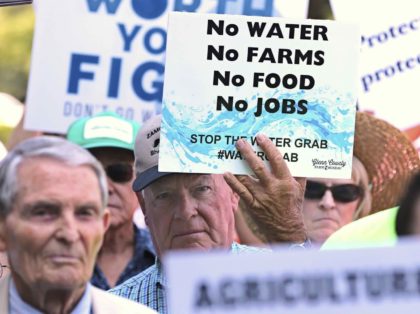 Bay-Delta Plan water protest (Rich Pedroncelli / Associated Press)
