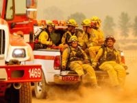 California firefighters (Noah Berger / AFP / Getty) California firefighters (Noah Berger / AFP / Getty)