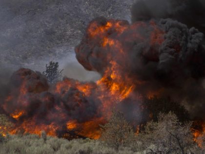 California wildfire (David McNew / Getty)