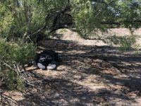 Duval County Deceased Migrant Laredo Sector Border Patrol agents find the remains of an illegal alien on a ranch near Freer, Texas. (Photo: U.S. Border Patrol/Laredo Sector)