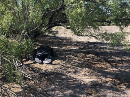 Laredo Sector Border Patrol agents find the remains of an illegal alien on a ranch near Freer, Texas. (Photo: U.S. Border Patrol/Laredo Sector)