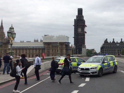 Terror Investigation Confirmed After Parliament Car Ramming, Suspect in Custody