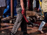 Blood spills from the knife used to slaughter a cow at an abattoir in Lenasia, Johannesburg, on August 22, 2018, where local Muslims gather to prepare meat cuts for the Islamic festival of Eid al-Adha. - The Islamic world is celebrating Eid al-Adha, the festival of sacrifice. Muslims traditionally sacrifice …