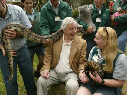 Sir David Attenborough shares a laugh with zookeepers during a photo opportunity at Taronga Park Zoo October 13, 2003 in Sydney, Australia.