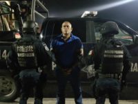 Gulf Cartel Pantera main Gulf Cartel Pantera main