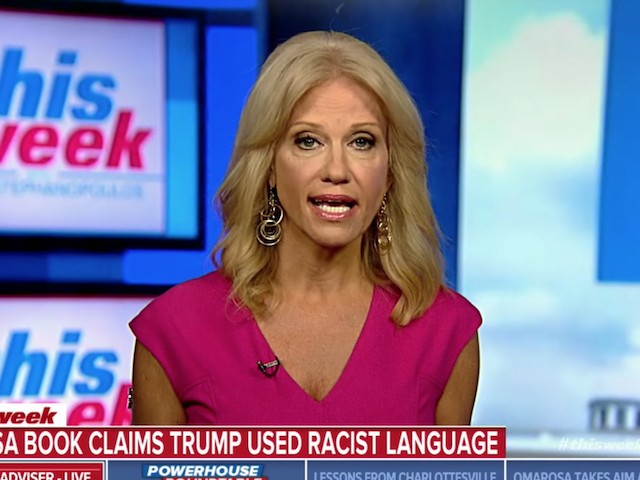 Kellyanne Conway: Republicans 'Certainly Can' Pick Up Seats in the House