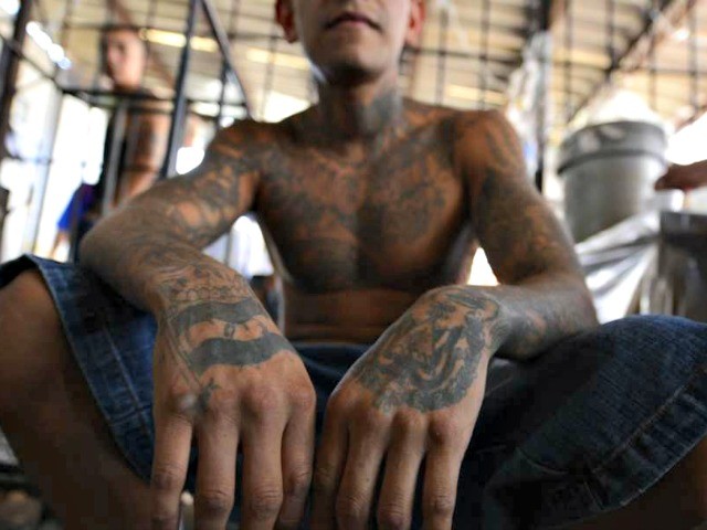 Murderers, MS-13 Members Arrested with Migrant Groups in Texas near Border