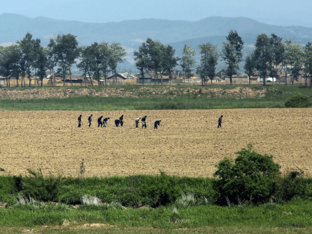 North Korea is experiencing drought as temperatures on the Korean Peninsula reach record h