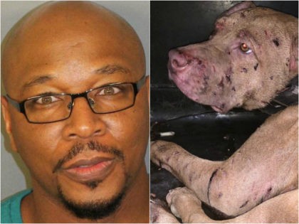 Police Shut Down Alabama Dog Fighting, Saving Seventeen Animals