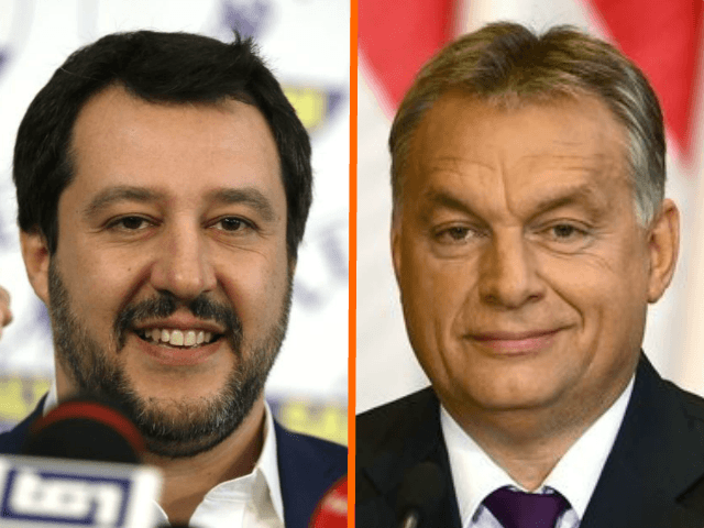 Salvini Orban