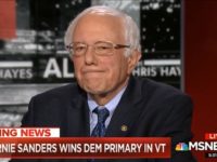 Sanders 814 Thumbnail Screenshot