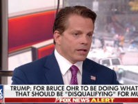 Scaramucci Scaramucci
