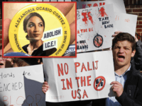 ICE vs. Nazi (Associated Press / Twitter)