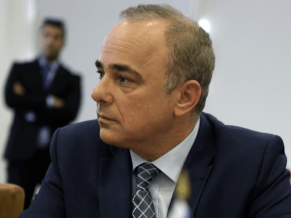Israel energy minister Yuval Steinitz is seen during talks with Cyprus' energy minister Yi