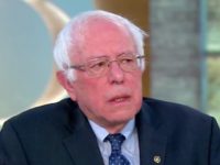bernie bernie
