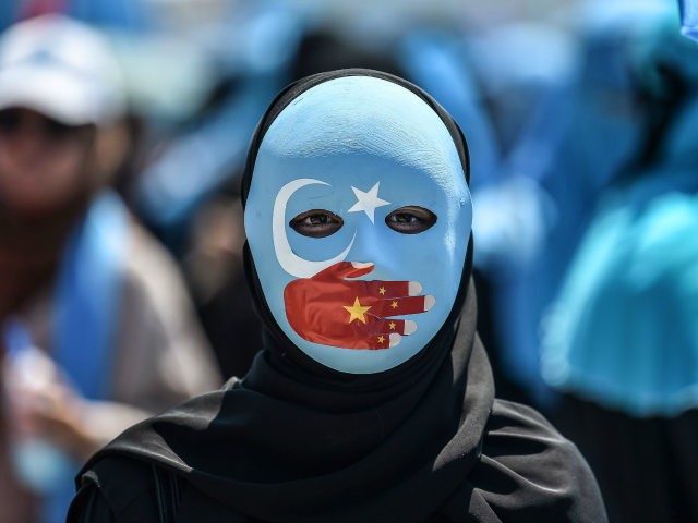 TOPSHOT - A demonstrator wearing a mask painted with the colours of the flag of East Turkestan and a hand bearing the colours of the Chinese flag attends a protest of supporters of the mostly Muslim Uighur minority and Turkish nationalists to denounce China's treatment of ethnic Uighur Muslims during …