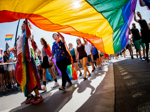 Participants carry a rainbow flag during the Gay Pride Parade on August 2, 2014, in Stockh