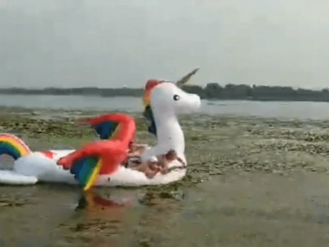 inflatable-unicorn-minnesota-lake
