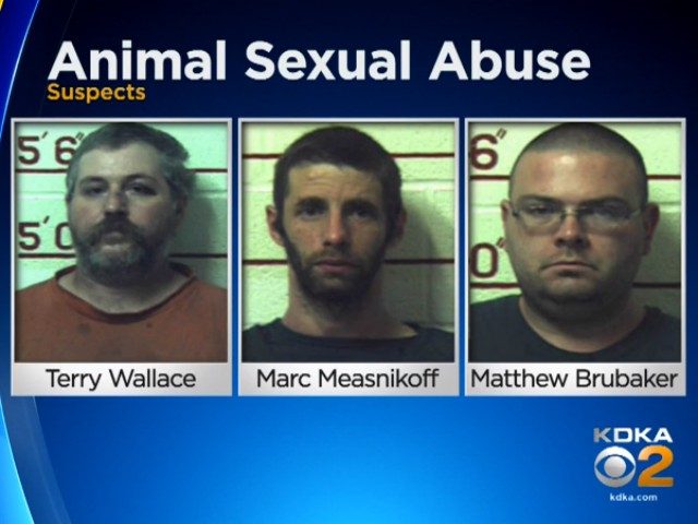 Three men from Pennsylvania were arrested Sunday and charged with an incredible 1,400 coun