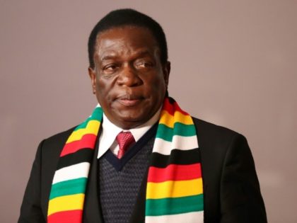 Emmerson Mnangagwa, Zimbabwe's 'crocodile' president