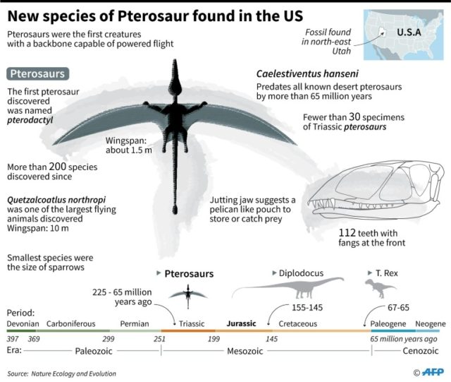 200-million year old Pterosaur 'built for flying'