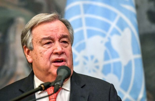 UN chief proposes options to protect Palestinians